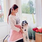 Instagram インスタグラム 解析 人気ランキング