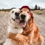 Watson and Kiko
