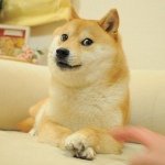 かぼすママ