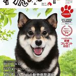shibainu Aco（吾子）