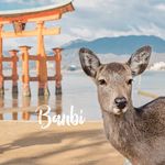斑比 Banbi