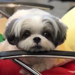 Chico Shigetaのinstagram人気投稿分析 ランキング