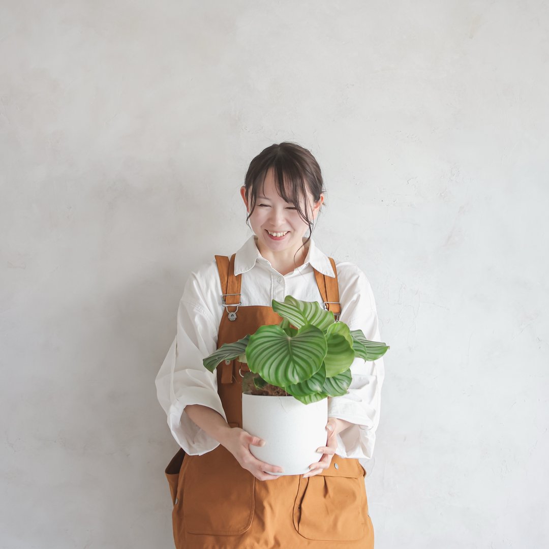 居心地のいいおうち作り
