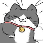 プンちゃんのお写真