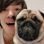 まきまきパスタ探検隊 (旧・豆腐パスタ)