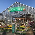 シマムラ園芸