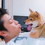 柴犬 尾形三九