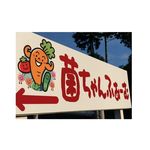 菌ちゃんふぁーむ　菌ちゃん野菜の農家