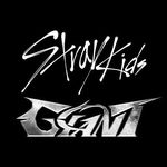 Stray Kids JAPAN OFFICIAL(JYP)