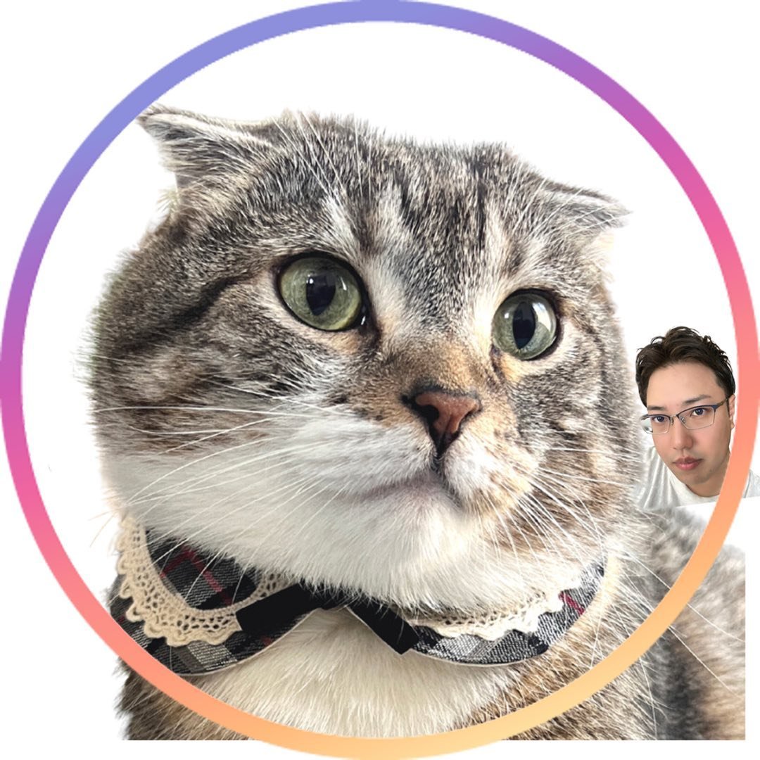 ねこぞー（Yuki Noro）