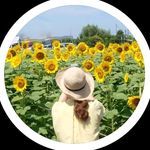 ゆりママん🍊まちかど愛媛