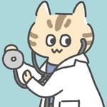 獣医にゃんとす🐾猫の情報発信中📡