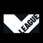 Vリーグ公式