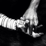 RICK OWENS STORE TOKYO