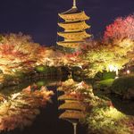 東寺 拝観【公式】Toji Temple