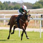 藤田菜七子 𝑁𝑎𝑛𝑎𝑘𝑜 𝐹𝑢𝑗𝑖𝑡𝑎