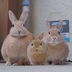 だーやま