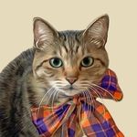 きなこともなか ＋ 時々あんこ