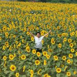 坪倉由幸