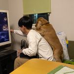 dodo “fnt”pokimonisforever