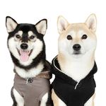 柴犬 Komugi & Tsukushi