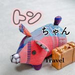 トンちゃん✈︎グルメ女子旅✈️旅行・グルメ・海外旅行