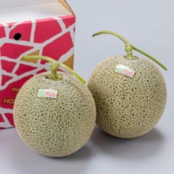 🍈あんにんめろん🍈