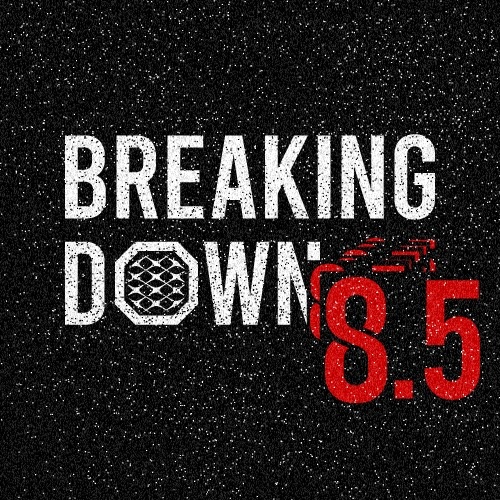 【公式】BreakingDown / ブレイキングダウン
