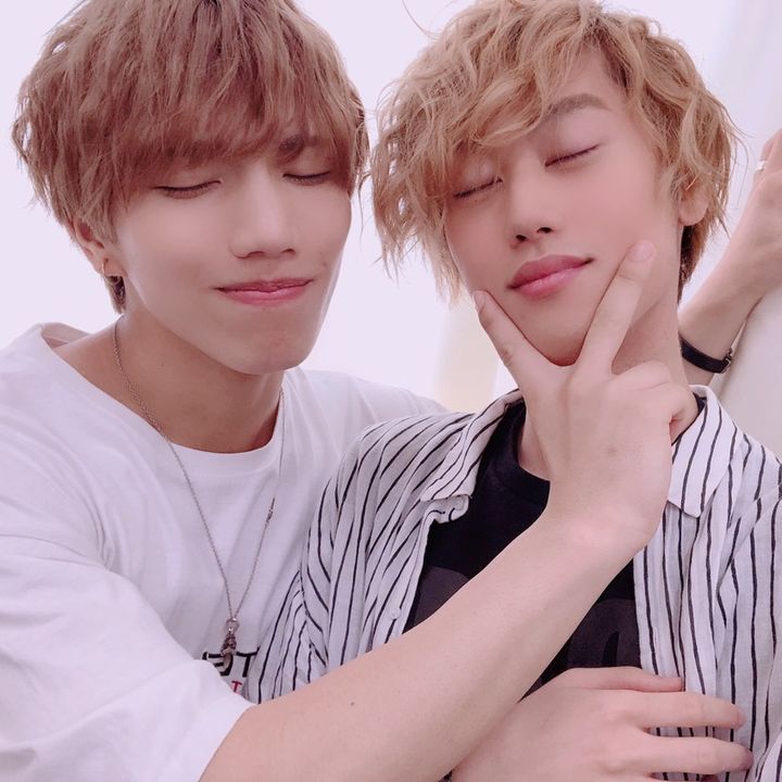 ブリとカワウソ