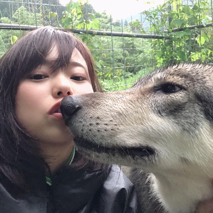 山暮らしの狼ちえちゃん