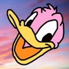 怒鳴るド🪿💢