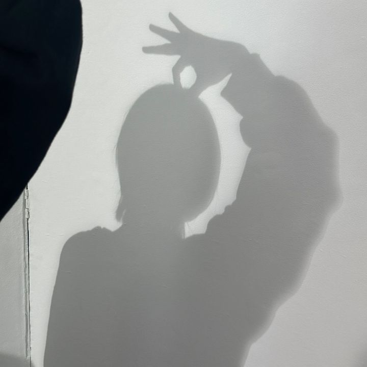 ふるっぱー日記