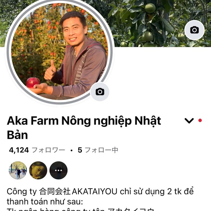 GẠO JP