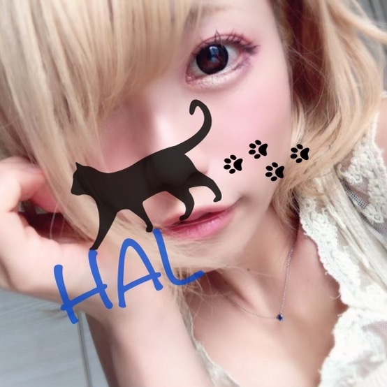 。☆ハル☆