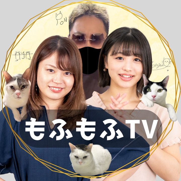 もふもふテレビ【公式】🐈‍⬛🤍🖤