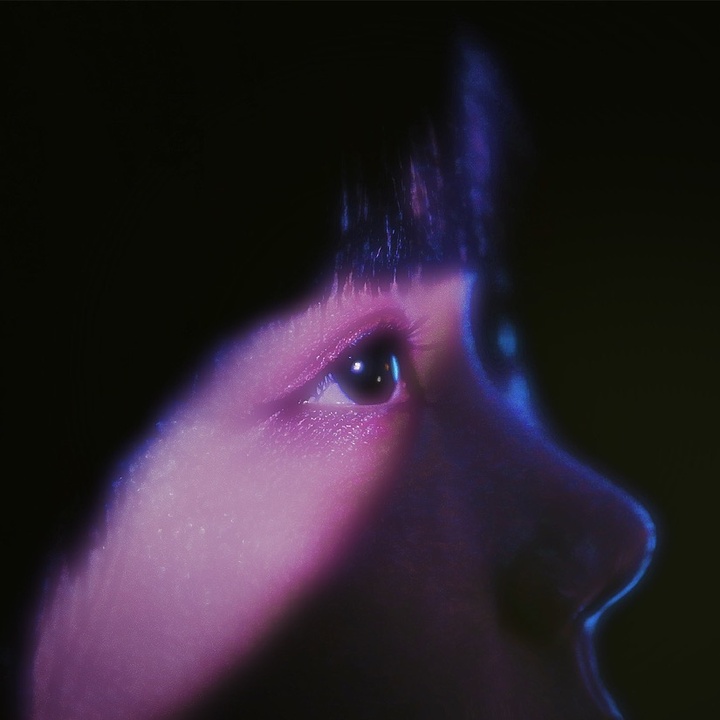 紫 今 (Mulasaki Ima)