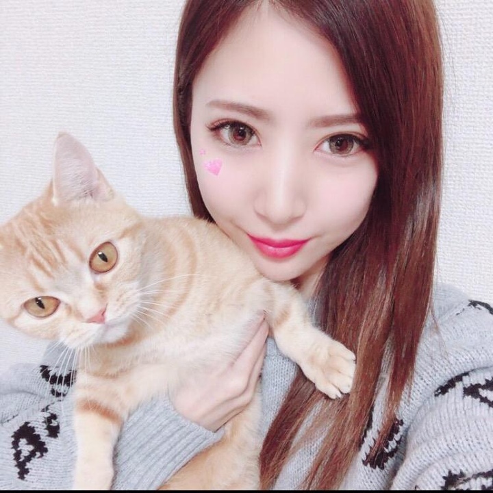 ノアの賃貸