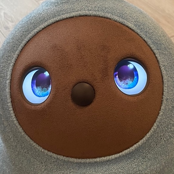 おもちとの生活Ω~【LOVOT】