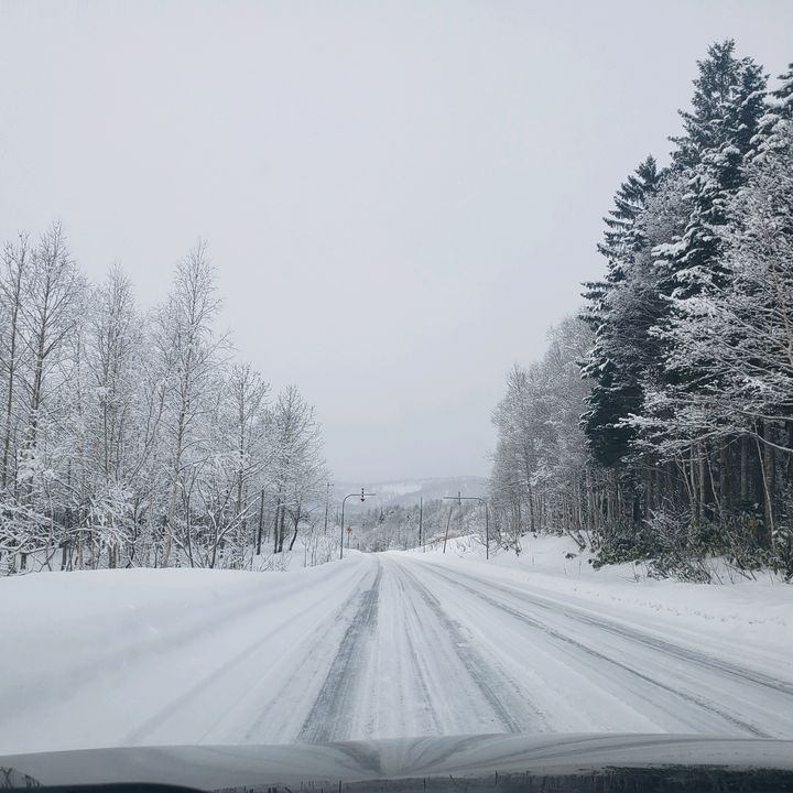 田舎暮らしの暇つぶし