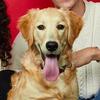 PawbreyDrakeGraham