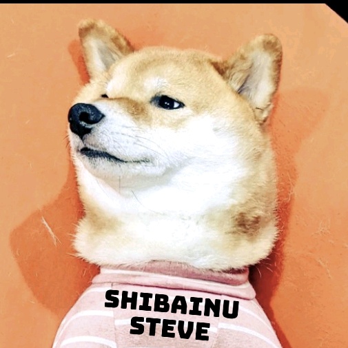 柴犬スティーブ🍌