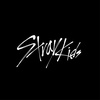 straykids_japan