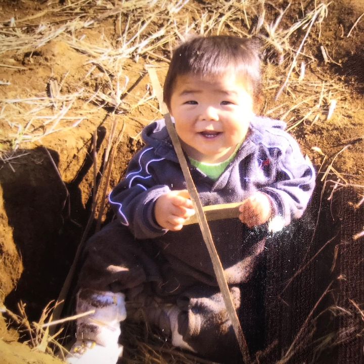 愉快な101匹ブタちゃん